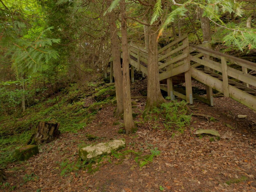 Steps to Mountain Park Lookout Tower on Washington Island