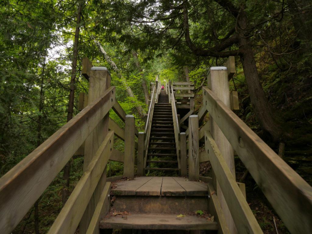 Steps to Mountain Park Lookout Tower on Washington Island