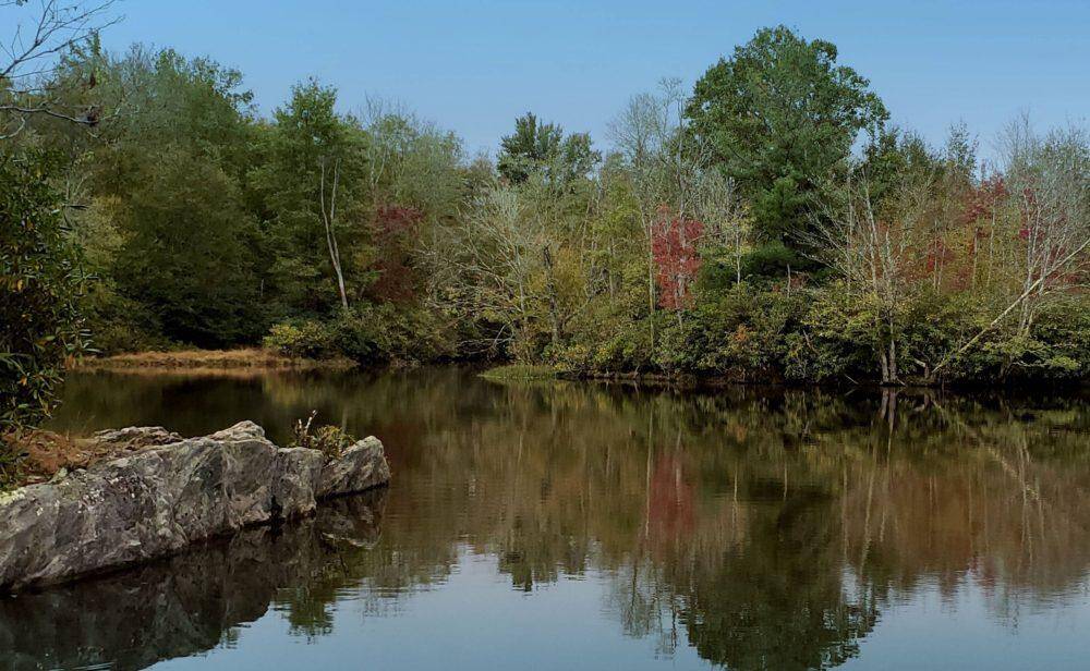 Drive to Price Lake (Blue Ridge Parkway)