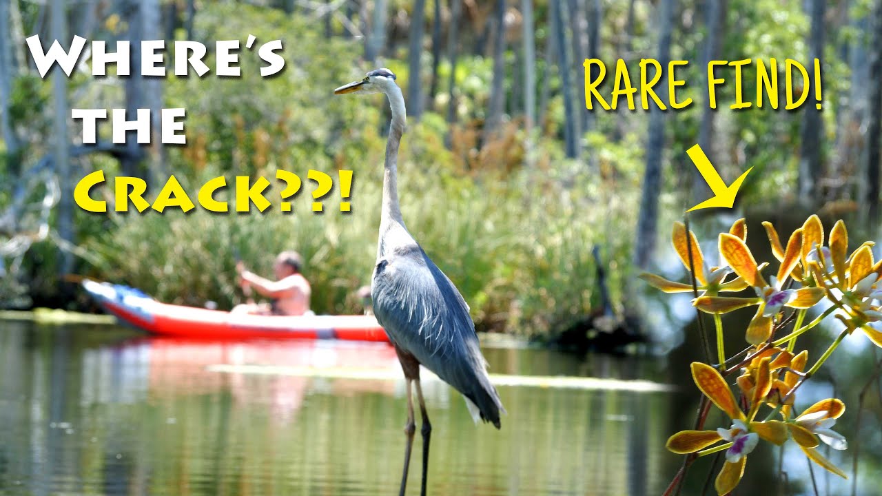 wow-kayaking-the-chassahowitzka-river-in-florida-in-june-truck