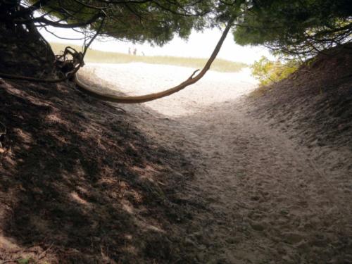 "Secret" path to a beach